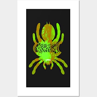 Tarantula Silhouette 57 (Tie Dye) Posters and Art